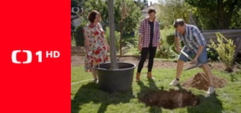 Co naše babičky uměly a na co my jsme zapomněli - Česká skalka Co naše babičky uměly a na co my jsme zapomněli - Česká skalka