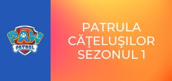 Patrula căţeluşilor Sezonul 1 Episodul 1