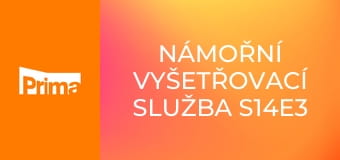 Námořní vyšetřovací služba S14E3 - Skokanka
