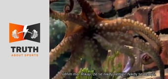 The 2016 European Championships