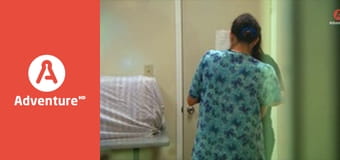 Pogotowie dzikich zwierząt E7