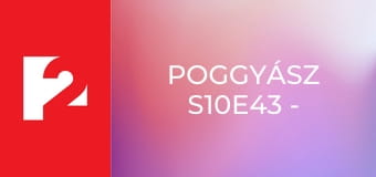 Poggyász  S10E43 - Episode 43