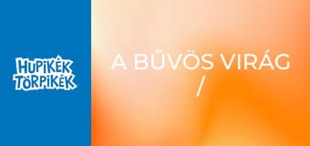 A bűvös virág / Apáknapi ajándék