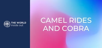 Prechádzky na ťavách a zápasy kobra vs. mangusta. Pakistan.