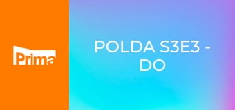 Polda S3E3 - Do střehu!