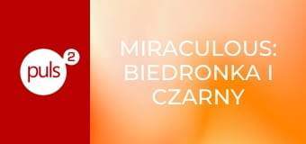 Miraculous: Biedronka i Czarny Kot S4E21 - Najdroższa rodzina