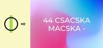 44 csacska macska - Szárnyaló kincsvadászat