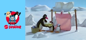 Pingu Sezonul 5 Episodul 11