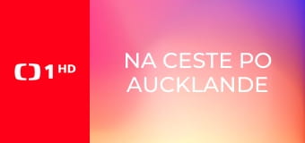 Na ceste po Aucklande