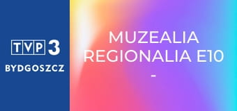 Muzealia regionalia E10 - Homo Ludens, czyli przypadki zabawek kolekcjonerskich