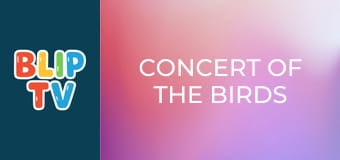 Concert of the Birds Concert of the Birds