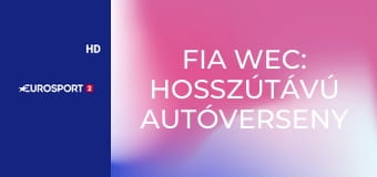 Fia Wec: Hosszútávú Autóverseny Világbajnokság Le Mans 24h - Verseny