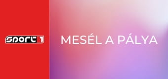 Mesél a pálya. Johan Cruyff