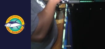 Freelance - Twilight