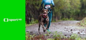 Individuálny mýsling: MS Česko