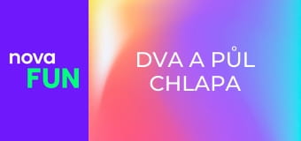 Dva a půl chlapa S12E5 - Louis