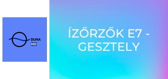 Ízőrzők E7 - Gesztely – Újharangod