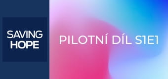 Pilotní díl S1E1