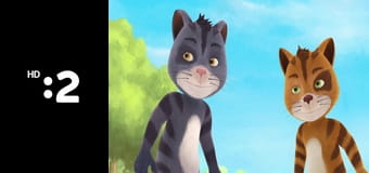 Rodinka líšok a jazvecov E40 - Lietajúci jazvec