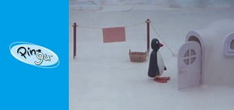 Pingu Sezon 3 Odcinek 7
