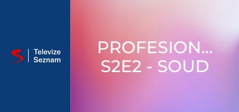 Profesionálové S2E2 - Soud