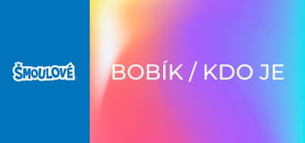 Bobík / Kdo je maskovaný šmoula