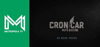 Cronicar după ureche