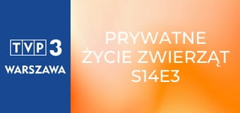 Prywatne życie zwierząt S14E3 - Koniowate