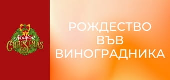 Рождество във виноградника