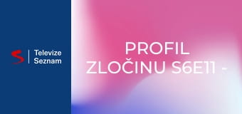 Profil zločinu S6E11 - Sbohem, část 1