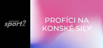 Profíci na konské sily