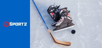 Hokej: Nemecký pohár