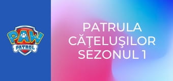 Patrula căţeluşilor Sezonul 1 Episodul 3