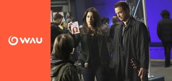 C.S.I.: Kriminálka New York S5E15 - Večierok sa skončil