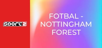 Fotbal - Nottingham Forest - Malmö