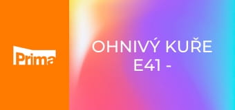 Ohnivý kuře E41 - Divadelní představení