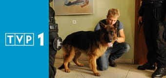 Komisarz Alex S3E9 - Diagnoza morderstwo