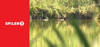 A világ legerősebb emberei  E3 - Episode 3