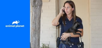 Veterinárna polícia: Phoenix S15E7 - Príbeh troch chvostov