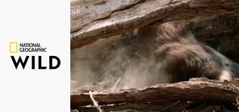 Kalahari: Podzemní poušť Afriky