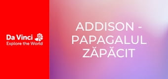 Addison - Papagalul zăpăcit