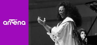 Branicki od kuchni E1