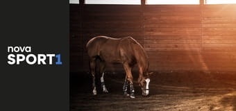 Jezdectví: Global Champions Prague Playoffs