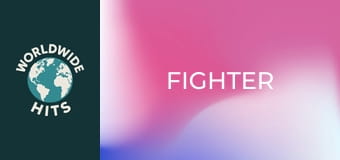 Fighter