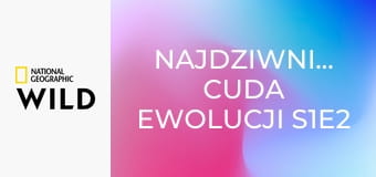Najdziwniejsze cuda ewolucji S1E2 - Podziemne potwory