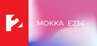 Mokka  E234 - Episode 234