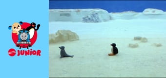 The Pingu Show Sezon 1 Episod 58