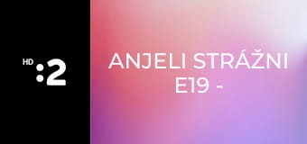 Anjeli strážni E19 - Terézia Kružliaková