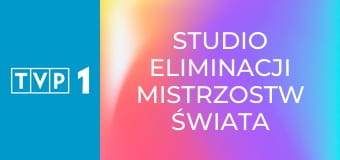 Studio eliminacji Mistrzostw Świata strefy UEFA