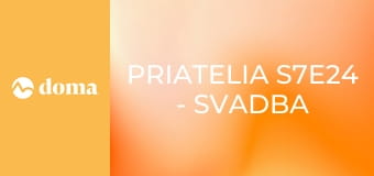Priatelia S7E24 - Svadba (2/2)